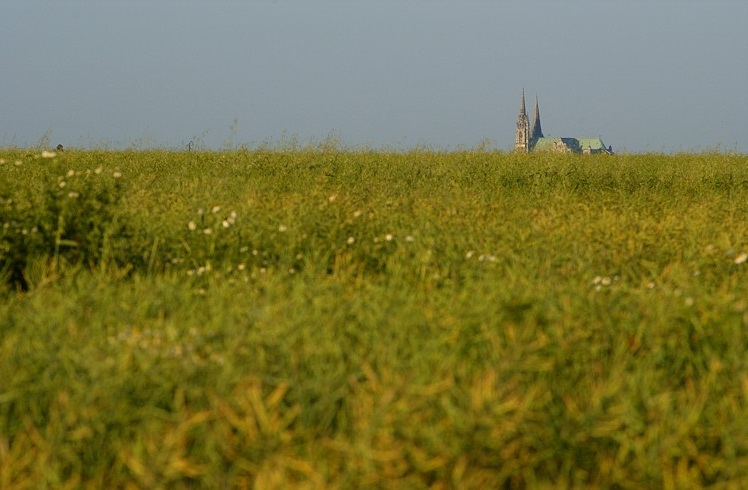 chartres from afar-flppd